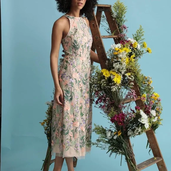 Maggy London Women's Floral Embroidered Halter Midi Dress with Back V-Neck - Picture 4 of 12